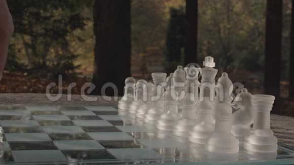 国际象棋开手动作游戏视频的预览图