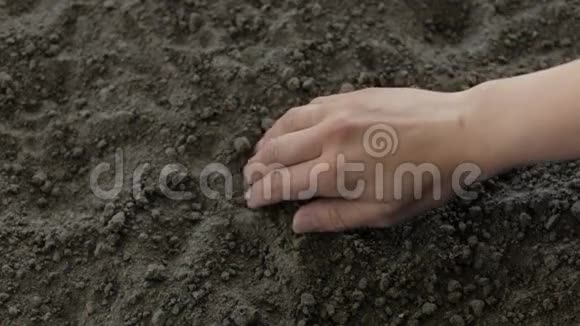 农夫把豆子埋在地上视频的预览图