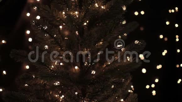 女性在树上装饰红色圣诞球背景是boke灯光视频的预览图