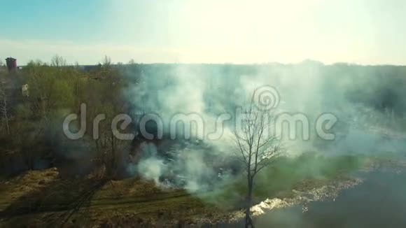 鸟瞰森林火灾视频的预览图