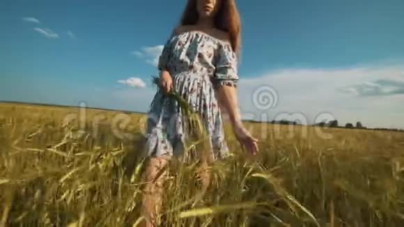 黄昏时分一个女孩的手在草地上玩耍这是黄金时间视频的预览图