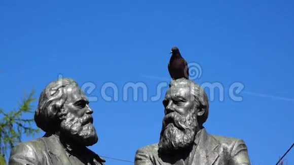 雕像头上的鸽子视频的预览图