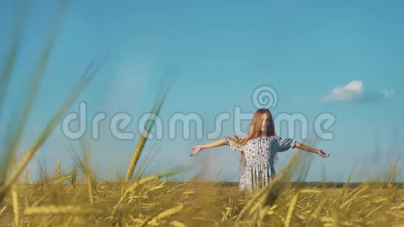 美丽的女孩健康的长发户外幸福微笑的年轻女子落在草地上视频的预览图