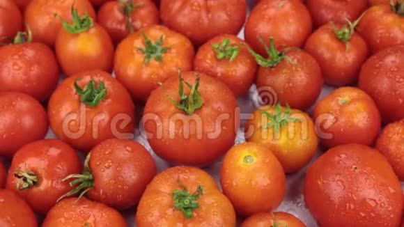 天然成熟红番茄在滴露中旋转食物视频的预览图