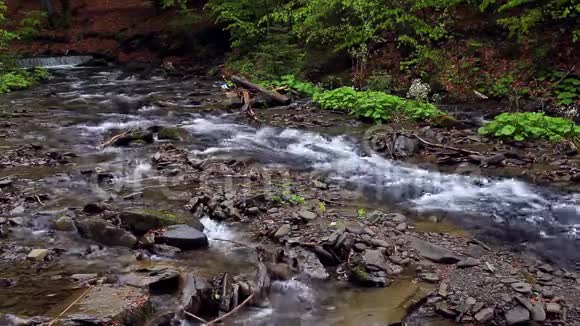 山涧雨后汇入一江快速的山溪使河流视频的预览图