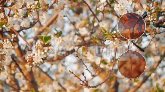 春或夏的概念树枝上的太阳镜和女人手拿着它们视频的预览图