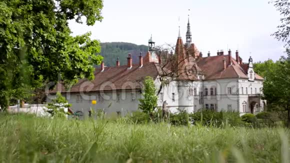绿色草地上的灰色城堡建筑绿色草坪上的老式房子视频的预览图