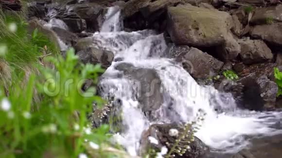 瀑布下山变成小湖石头上的瀑布流视频的预览图