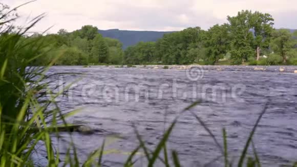 河水溪景观近绿色树木的山河视频的预览图