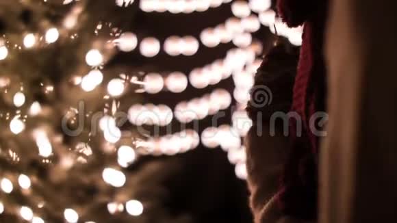 在圣诞树上用布克灯装饰的女人视频的预览图