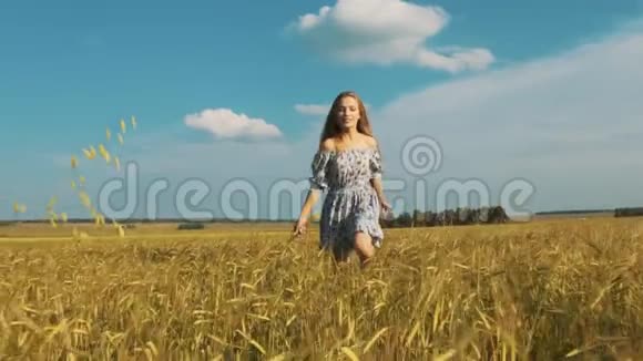 漂亮的女孩跑过黄色的麦田快乐美丽的年轻女子在户外享受大自然自由自由视频的预览图