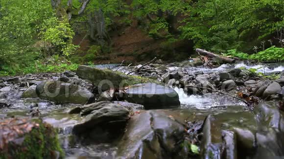 快山河中央的巨大石头野生森林河流背景视频的预览图