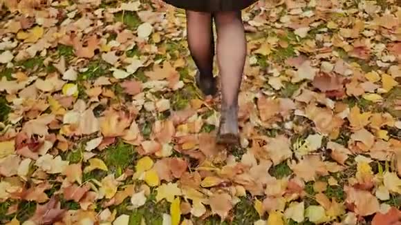 女性踏着城市公园色彩斑斓的秋叶走在秋天视频的预览图
