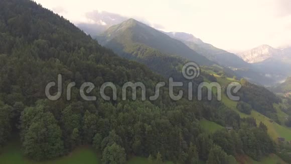 森林山高山日出无人机瑞士视频的预览图