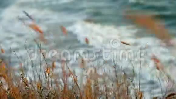 海岸线在日落实时在阿佐夫海在多风的夜晚沙丘视频的预览图