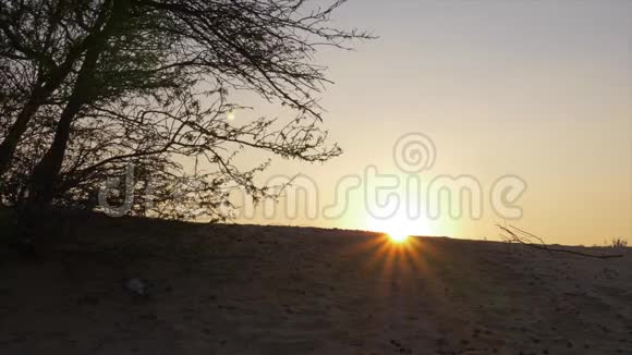从沙漠中的沙山金色日出早晨日出在炎热的沙漠视频的预览图