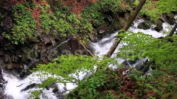 落在树林中的瀑布山间瀑布森林河流视频的预览图
