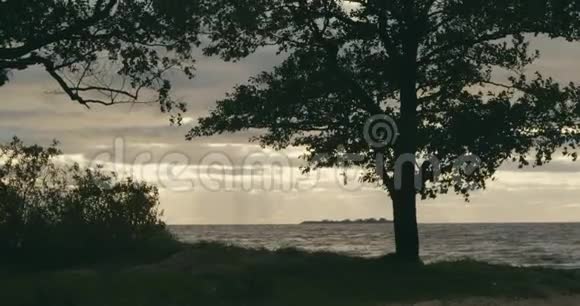 日落时海边的秋天自然视频的预览图