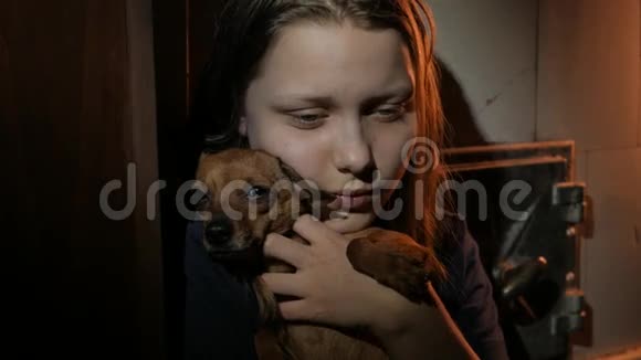 黑暗中的少女和一只小狗UHD4K视频的预览图