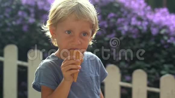 小男孩在薰衣草农场吃一个由薰衣草制成的冰淇淋视频的预览图