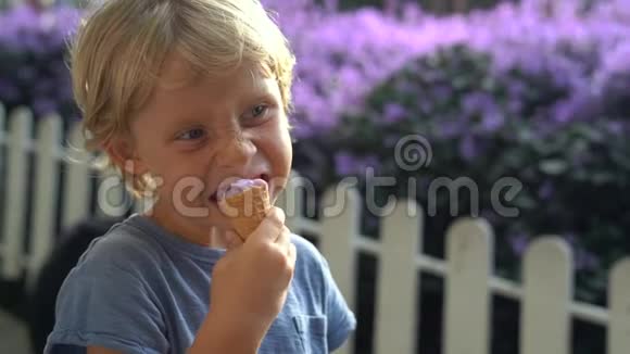 小男孩在薰衣草农场吃一个由薰衣草制成的冰淇淋视频的预览图