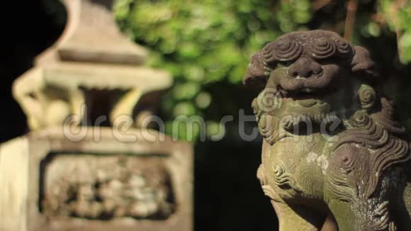 东京神社石像守护犬视频的预览图