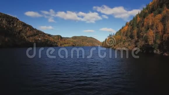 向后飞越河流和树木与秋季景观的背景视频的预览图