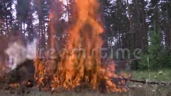 消防车着火点燃对森林有危险的树针场景不安全的积极休息自然与火快速视频的预览图
