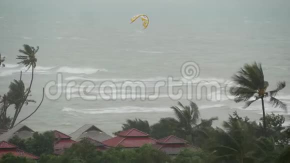 帕布台风泰国海洋海岸自然灾害眼镜飓风强烈的极端旋风吹袭手掌视频的预览图