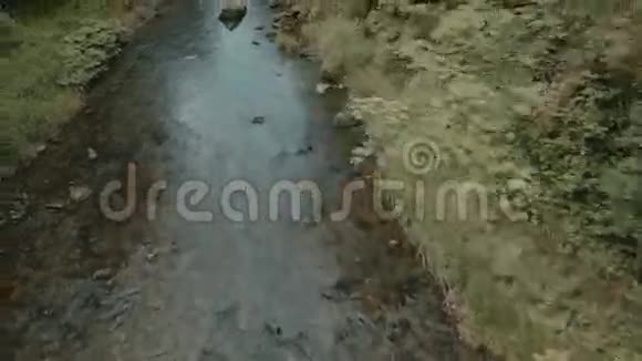 林中的小溪视频的预览图