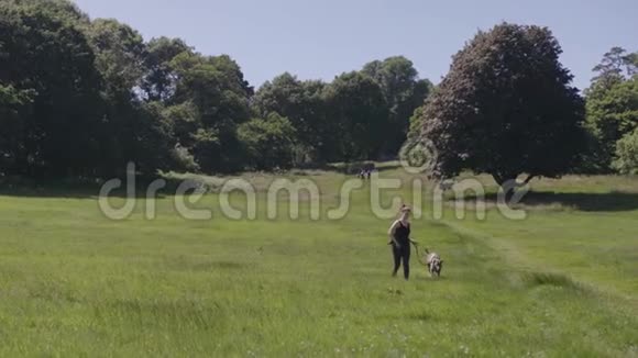 在草地上慢动作与宠物狗奔跑的女人视频的预览图