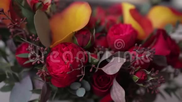 美丽的红黄秋花视频的预览图