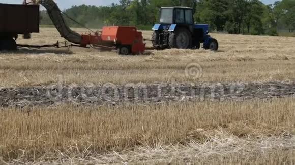 背景下的小麦倒在拖拉机上收割庄稼视频的预览图