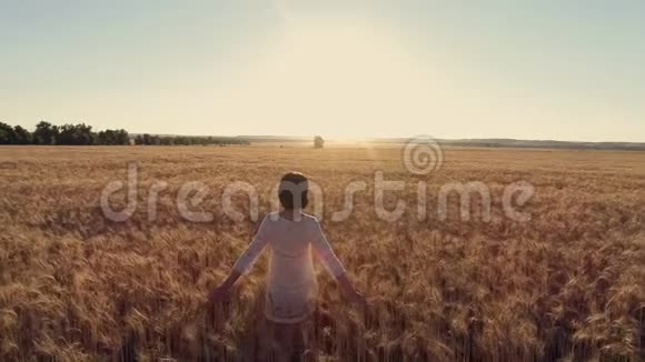 空中摄影女孩在日落时穿过麦田慢动作高速摄像机视频的预览图