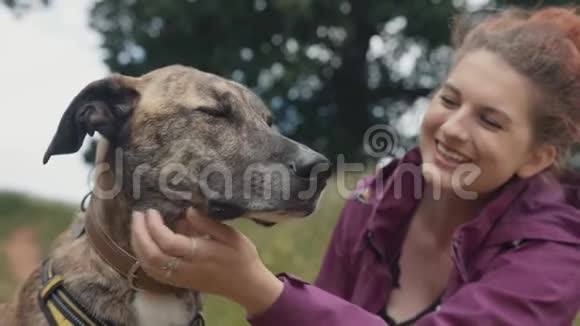 美丽快乐的年轻女子在公园里抚摸她的爱与忠诚的宠物狗视频的预览图