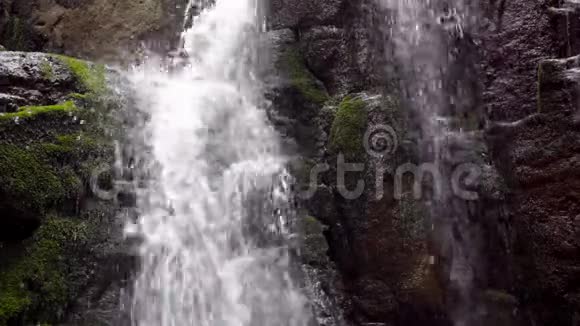 水流在岩石山冲洗绿色苔藓石森林中的水流视频的预览图