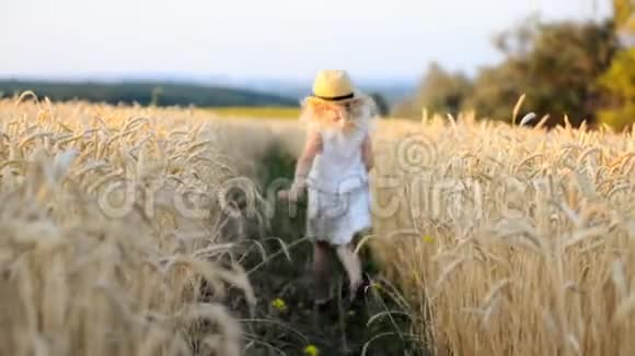 快乐的奔跑女孩在阳光下的麦田里视频的预览图