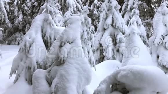 被雪覆盖的山脉冬季视频的预览图