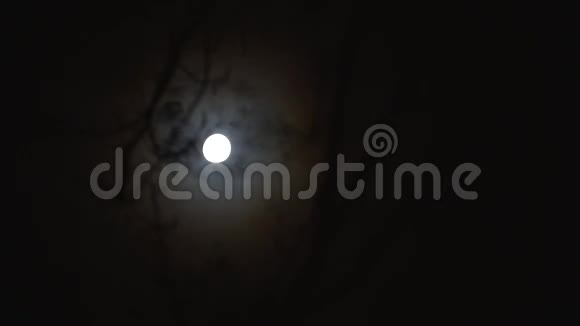 月亮穿过树木的夜空视频的预览图