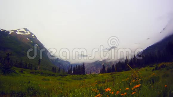 冰川国家公园的高山和草地时间流逝视频的预览图