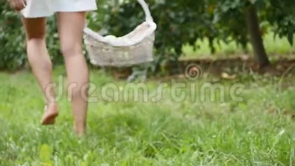 一个年轻女孩穿过苹果园的脚视频的预览图