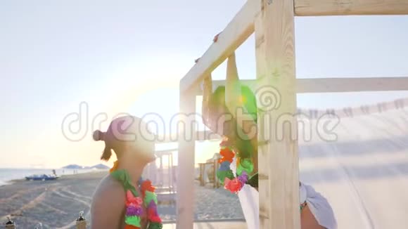 女孩跳到男人到海滩浪漫的关系在异国情调度假村男人绕着女孩的手在平房附近视频的预览图