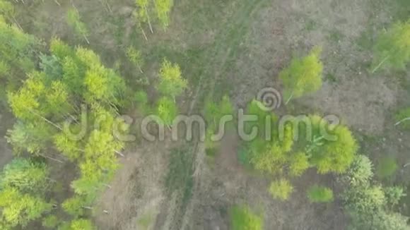 绿色森林田野和道路的俯视夏季景观视频的预览图