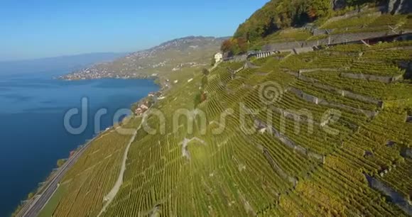 飞越瑞士拉沃克斯的葡萄园视频的预览图