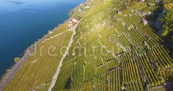 飞越瑞士拉沃克斯的葡萄园视频的预览图