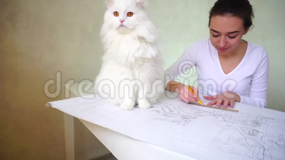 新娘想到即将到来的婚礼和画梦的房子白猫坐在年轻的女人附近视频的预览图