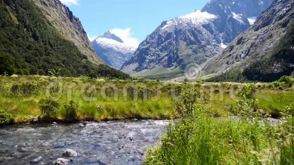 新西兰Fiordland国家公园视频的预览图