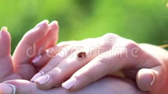 瓢虫在女人手里视频的预览图