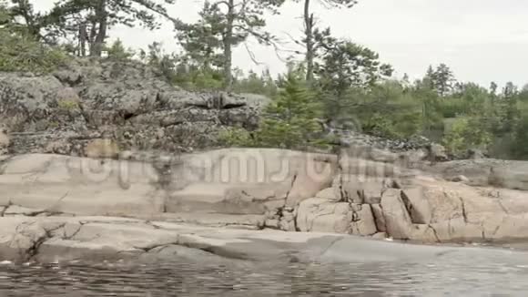 岩石海岸上的树木视频的预览图