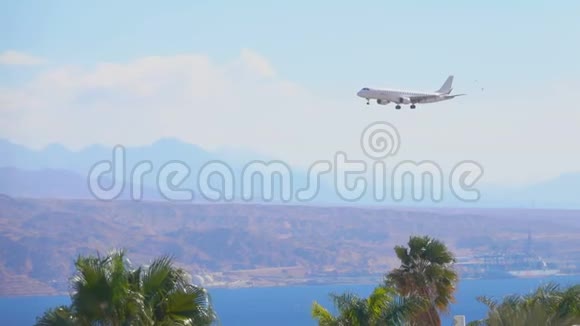 飞机飞过海湾准备降落视频的预览图